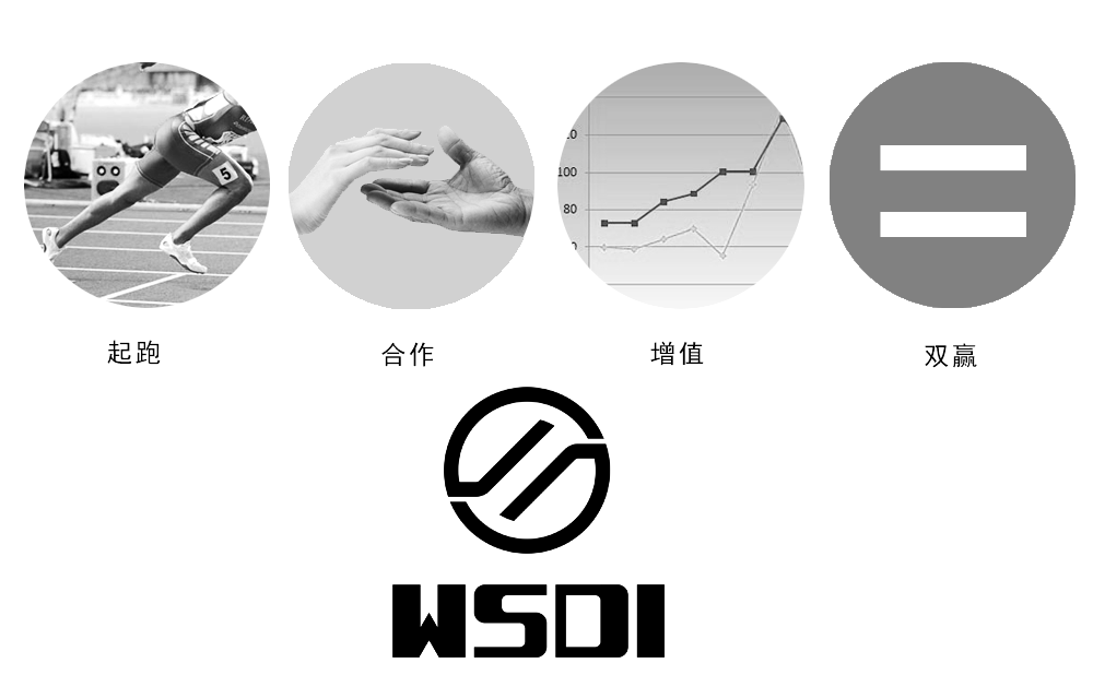 WSDI图0