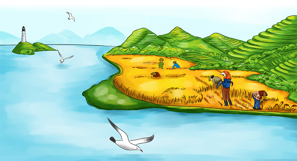 海岛大米插画与包装图1