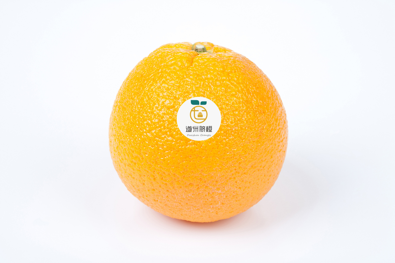 标志设计——道州脐橙品牌图6
