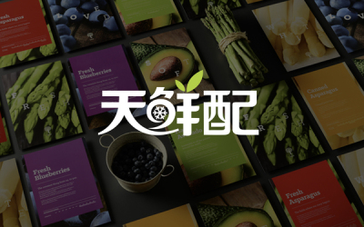 浙江天鲜配物联网科技有限公司Logo设计与VIS设计