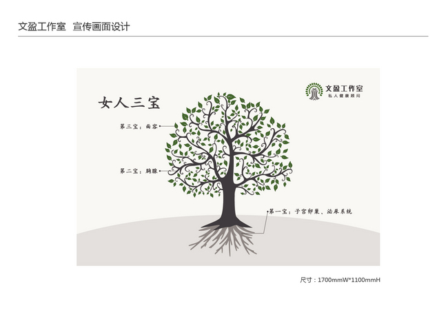 上海高端私人健康顾问会所品牌设计：文盈工作室图8