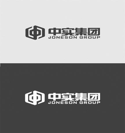 中实集团品牌logo设计图12