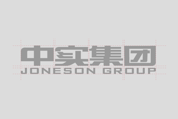 中实集团品牌logo设计图2