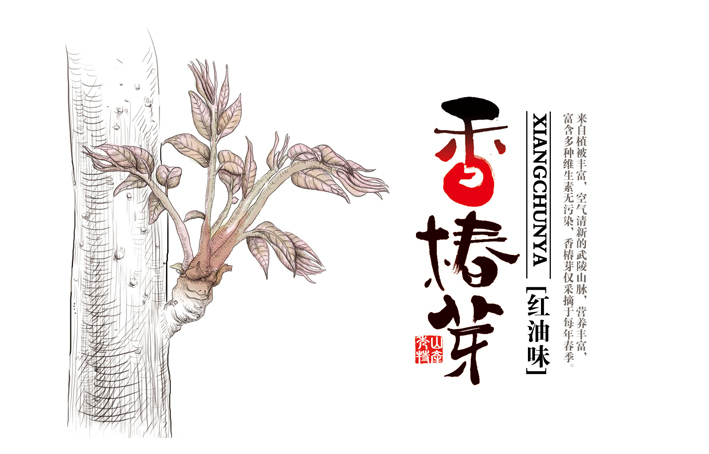 重庆武陵椿香椿芽品牌策划及包装设计图5