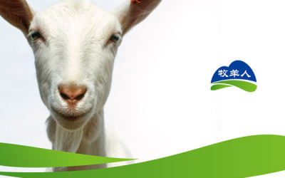 天津牧羊人乳业品牌设计