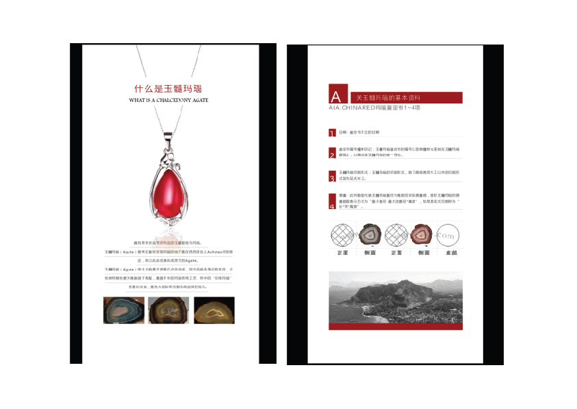 瑞紅珠寶品牌設計圖10