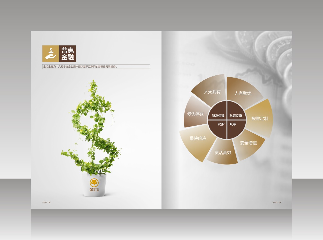 金汇金融 画册设计图6