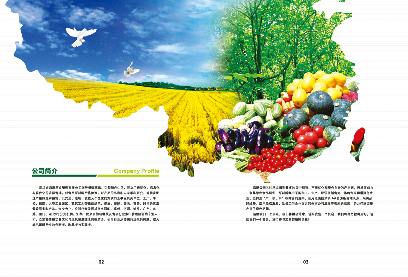 膳食管理有限公司   品牌宣传画册设计图2