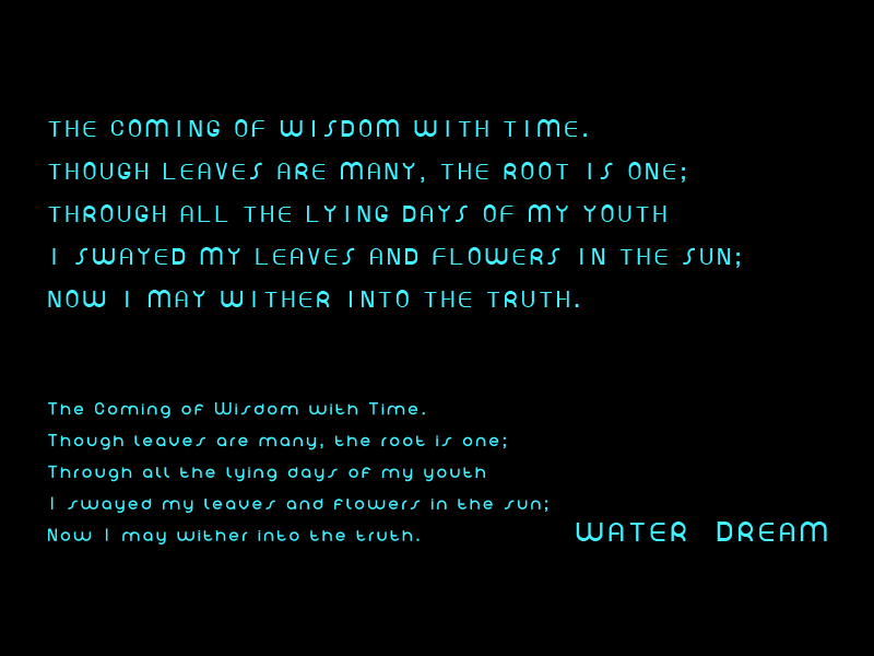 Water Dream|水之梦图7