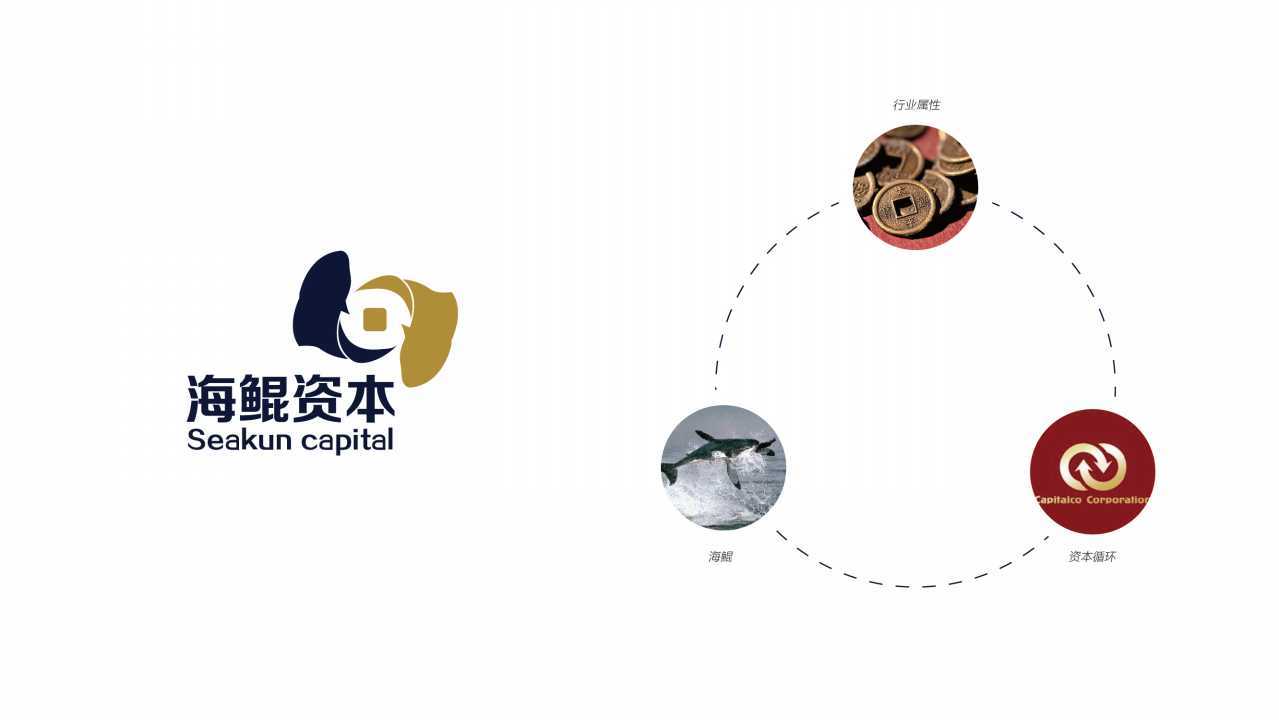 海鲲资本贸易公司标志设计图9