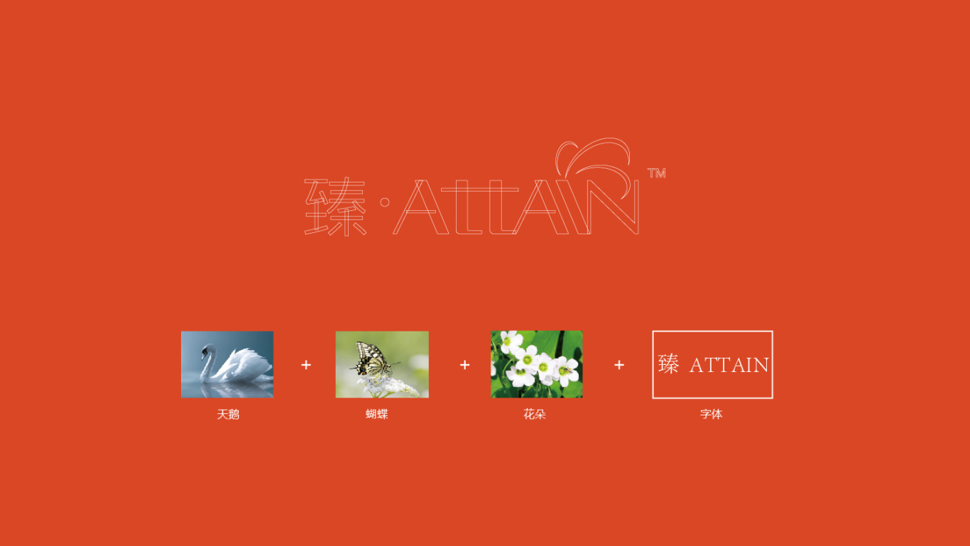 臻·ATTAIN 丨 品牌整合设计图2