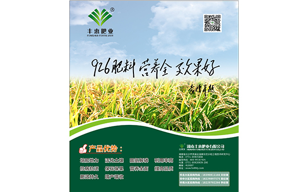湖南丰惠肥业报纸海报设计图3