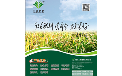 湖南豐惠肥業報紙海報設計
