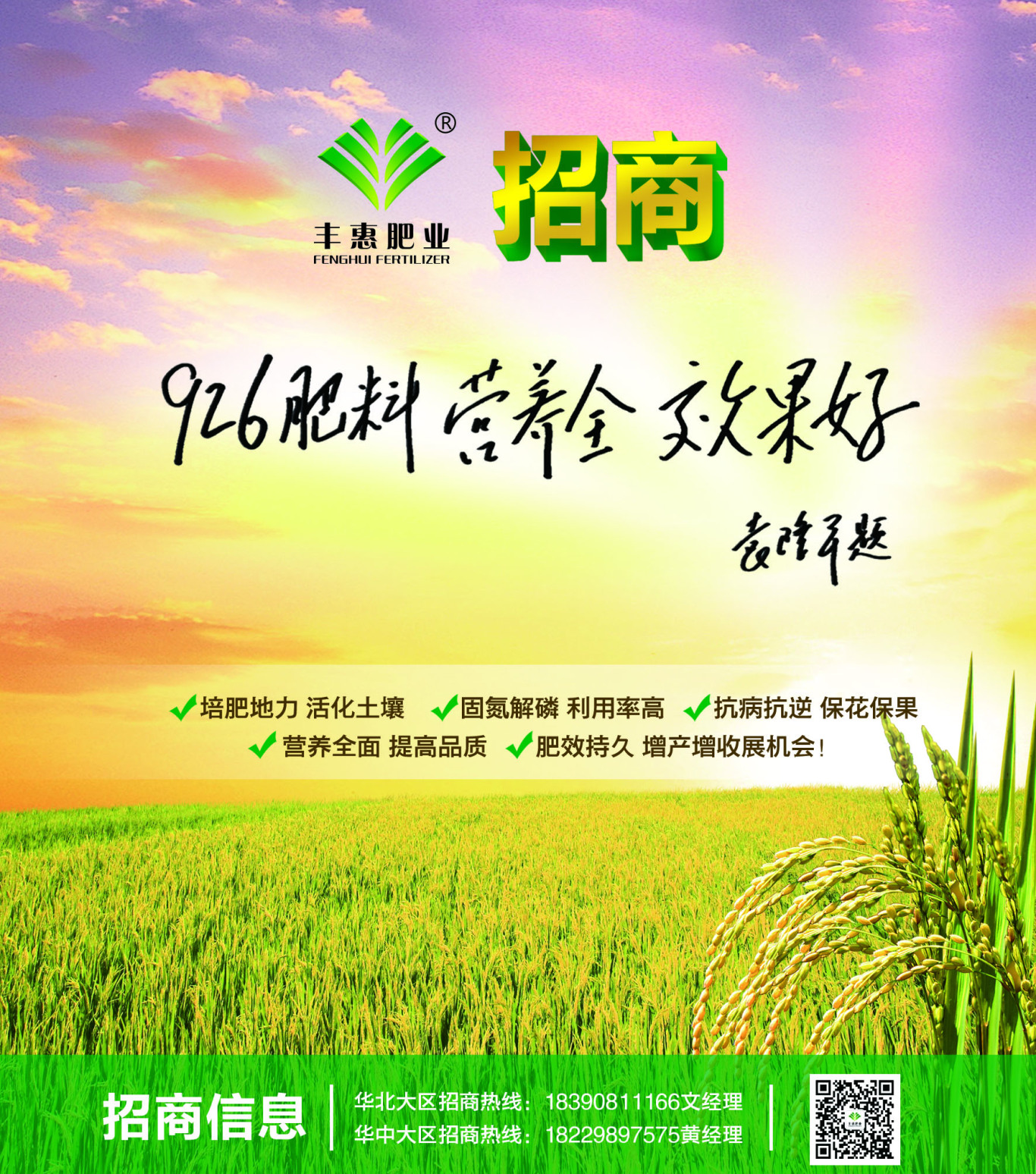 湖南丰惠肥业报纸海报设计图0
