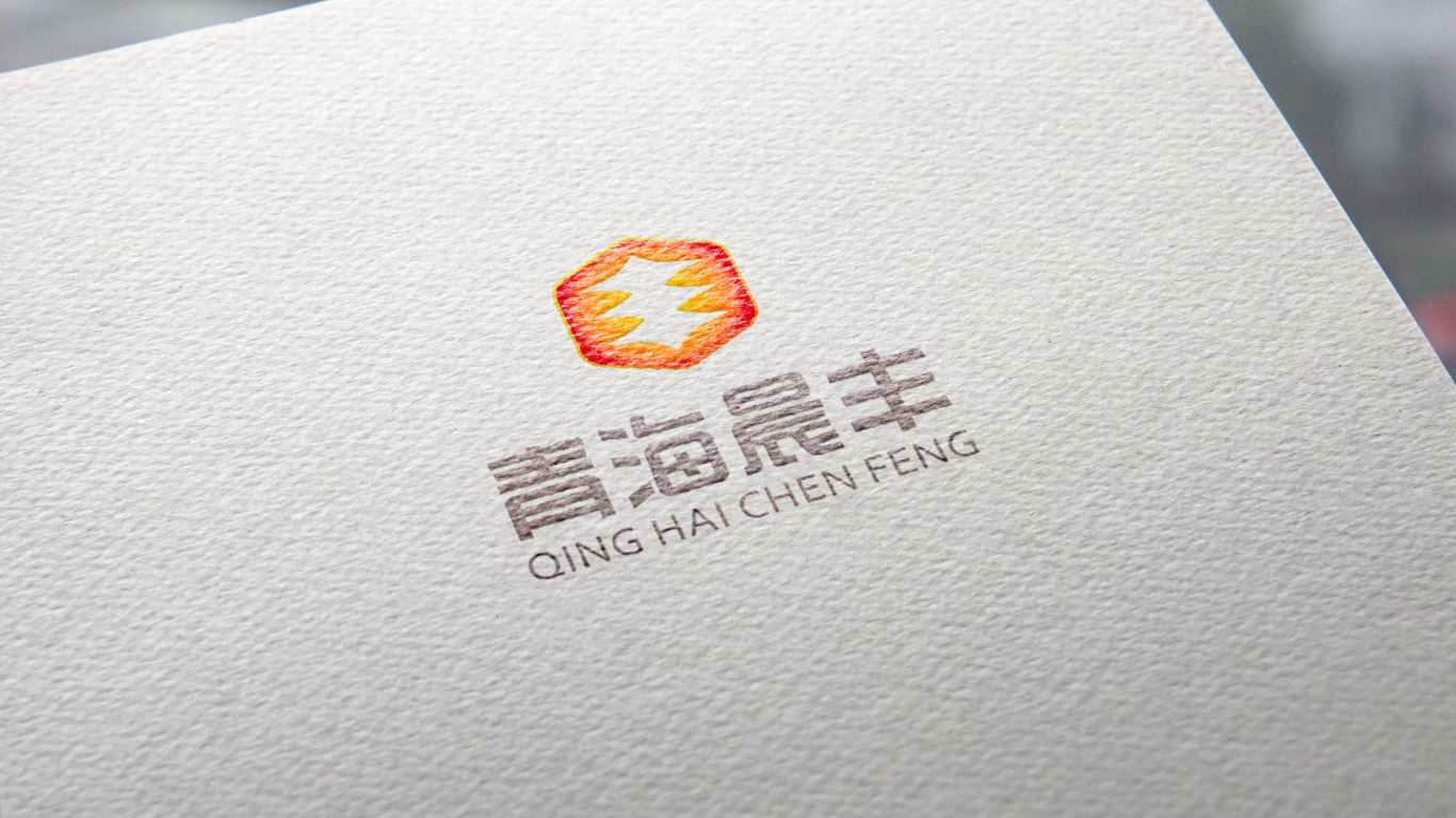 青海晨丰logo设计图6