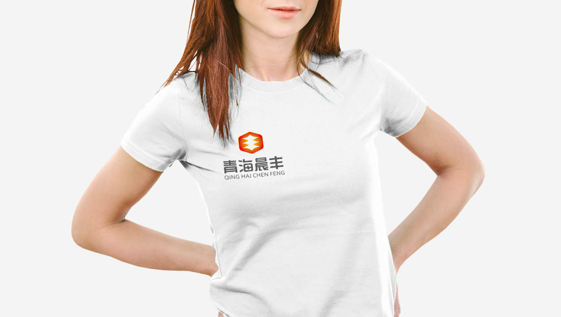 青海晨丰logo设计图5