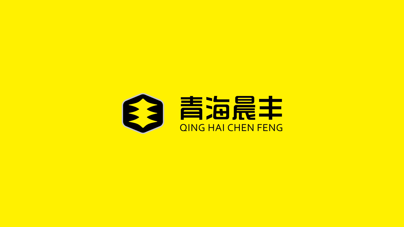 青海晨丰logo设计图2