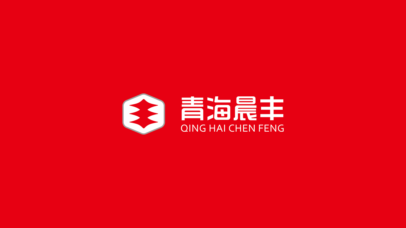 青海晨丰logo设计图3