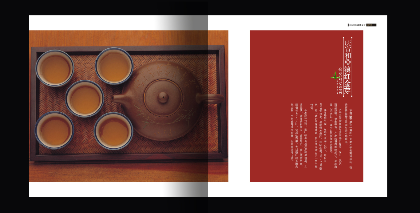 庆宣和茶叶画册设计图3