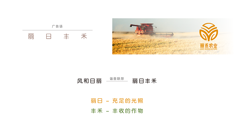 丽禾农业品牌形象设计图4