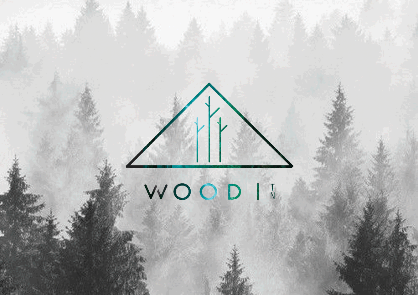 wood圖0