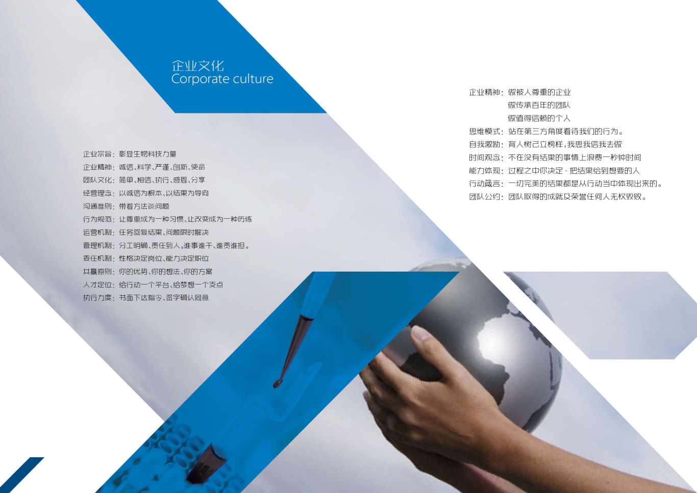 广州悦阳生物科技有限公司宣传册图2