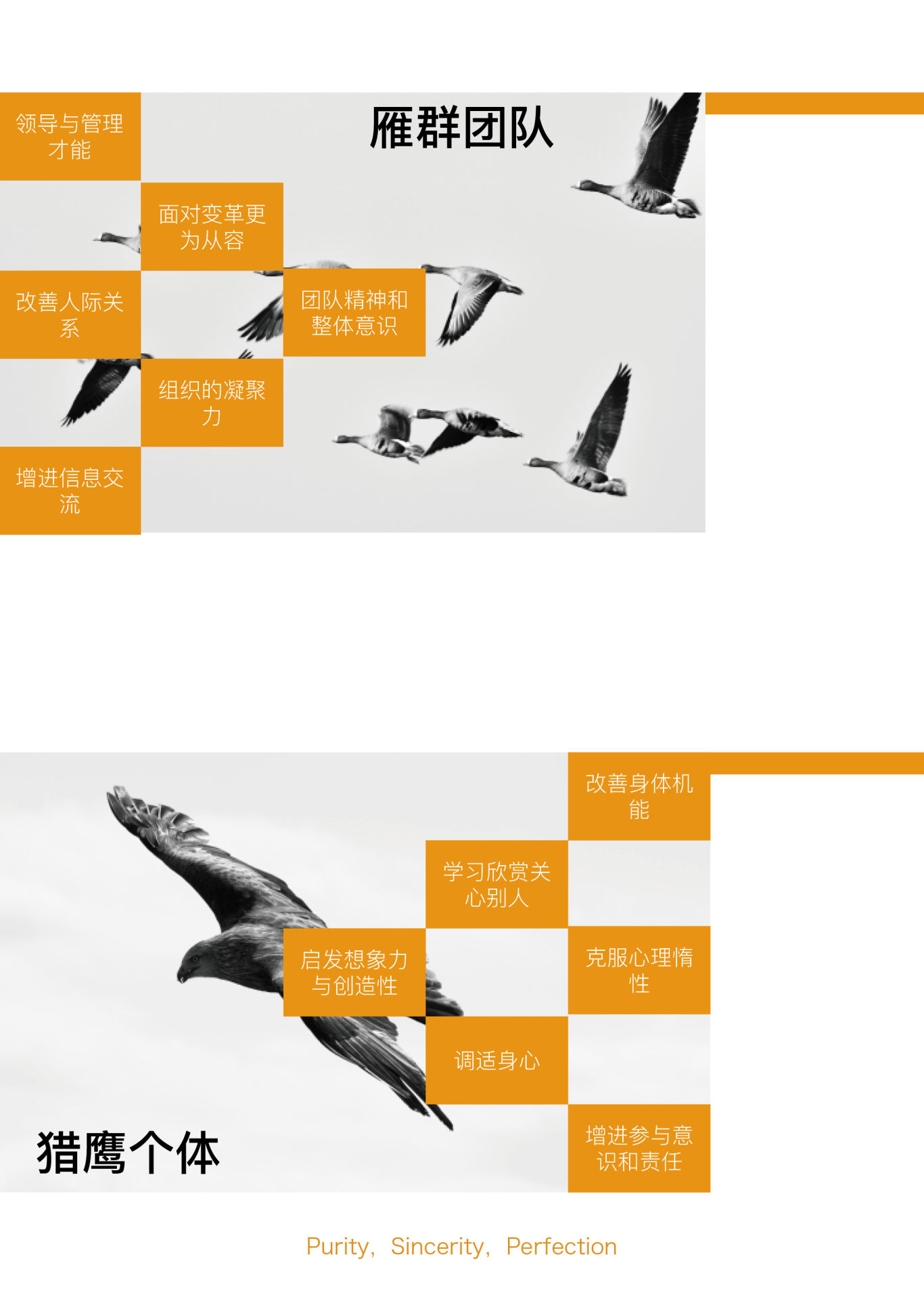 湖南极客文化传播有限公司宣传画册图11