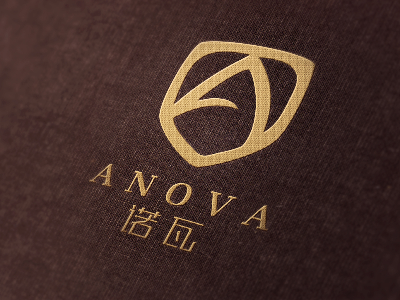 诺瓦ANOVA标志设计图13