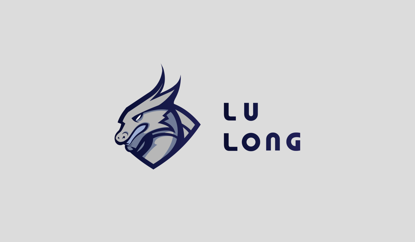 卢龙——logo设计图2