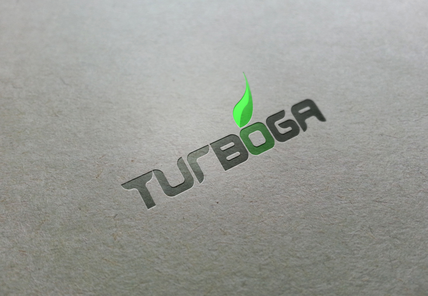TURBOGA商标设计LOGO设计应用图3