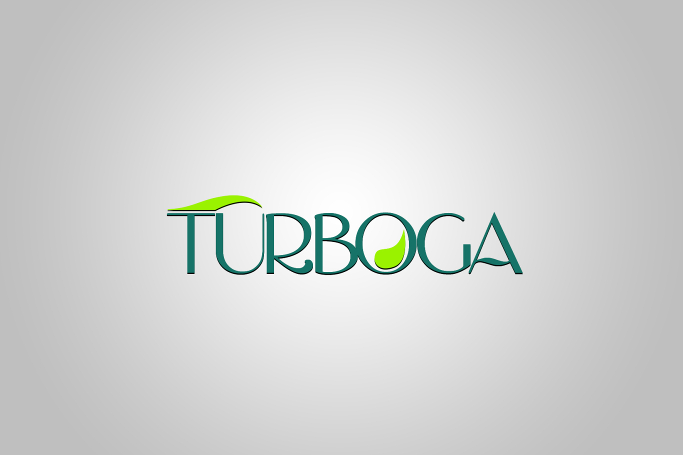 TURBOGA商标设计LOGO设计应用图4
