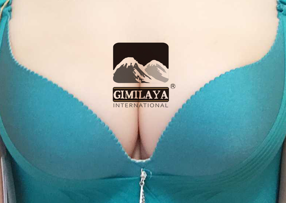 Gimilaya内衣logo标志图4