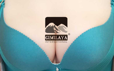 Gimilaya內衣logo標志