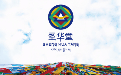 西藏圣华堂品牌设计提案