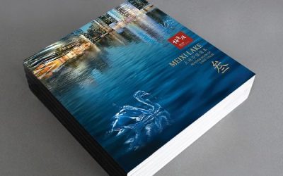梅溪湖国际新城画册设计