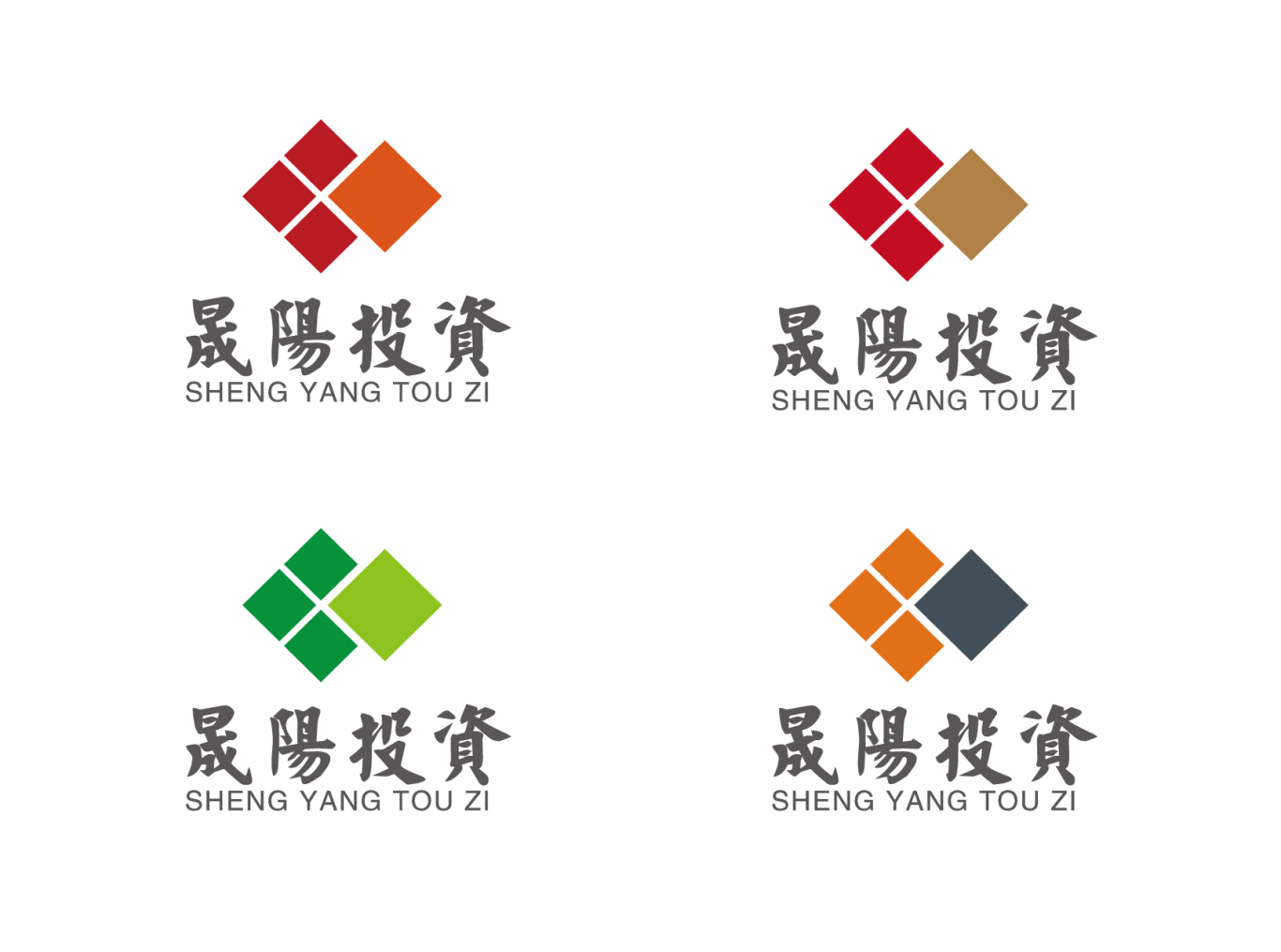 晟阳投资logo设计图6