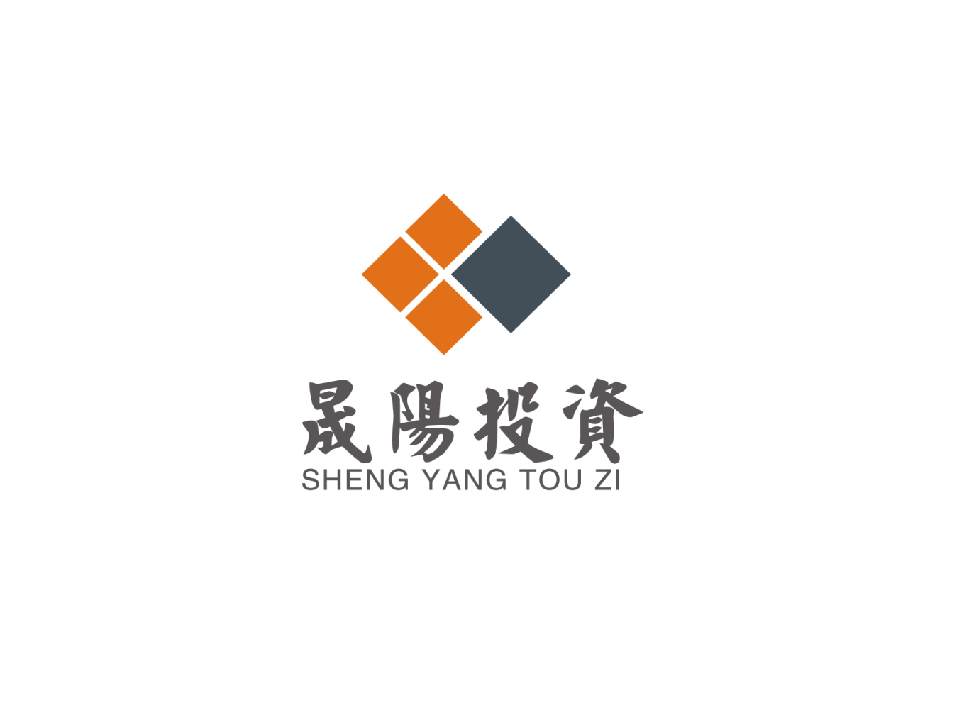 晟阳投资logo设计图4