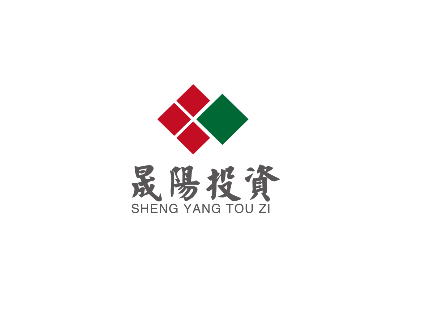 晟阳投资logo设计图10