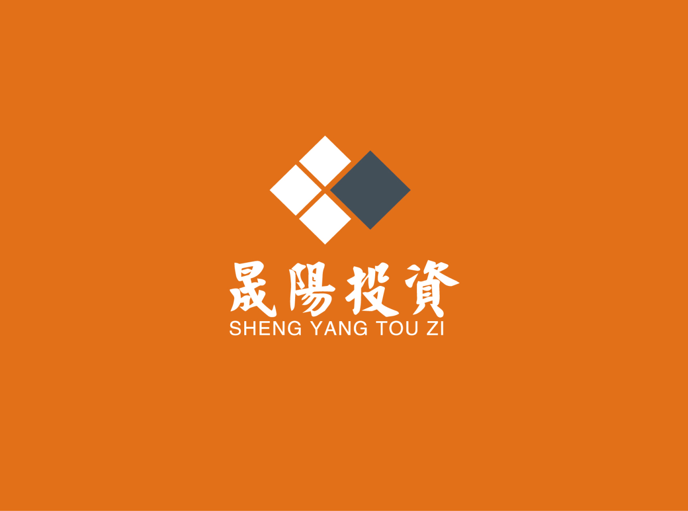 晟阳投资logo设计图7