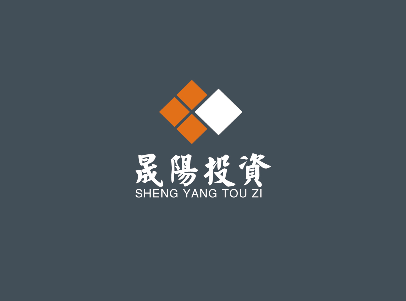 晟阳投资logo设计图8