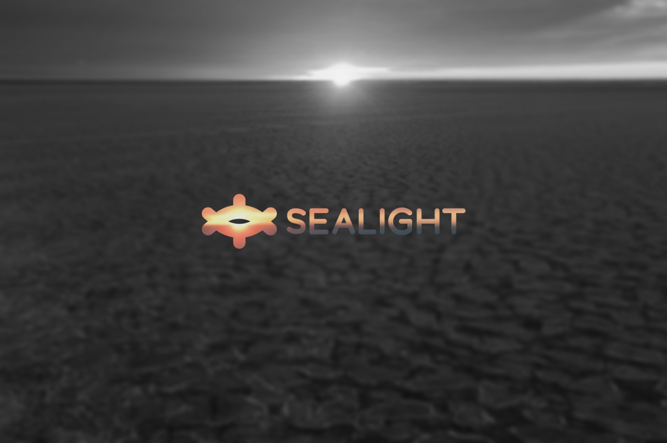 Sealight 视朗视光图0