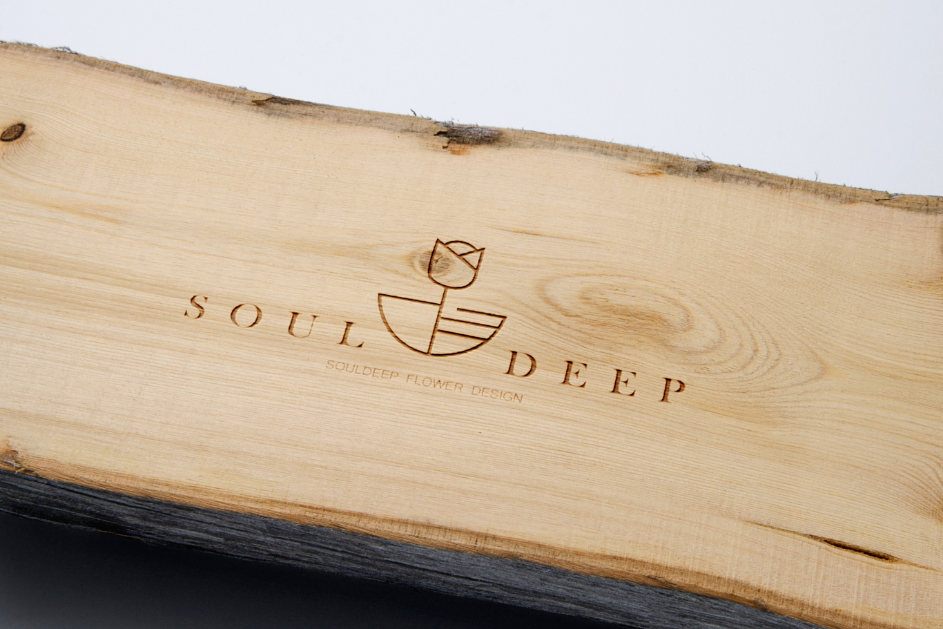 Soul Deep logo品牌设计图8