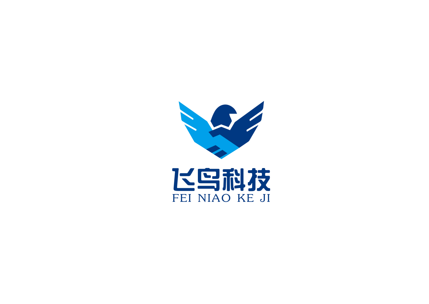 海南飞鸟科技公司logo设计图0