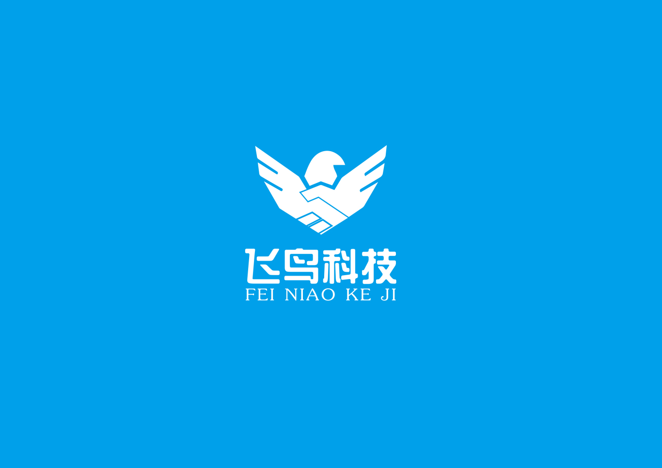 海南飞鸟科技公司logo设计图3