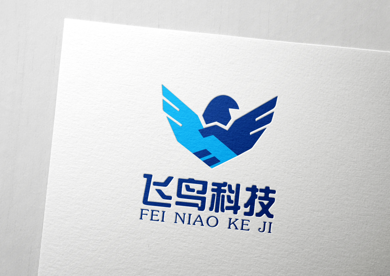 海南飞鸟科技公司logo设计图4