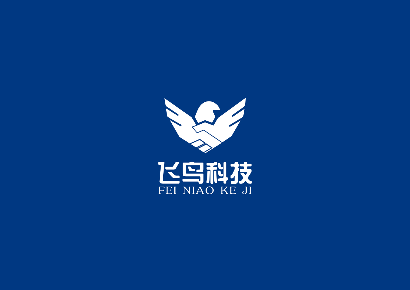 海南飞鸟科技公司logo设计图1