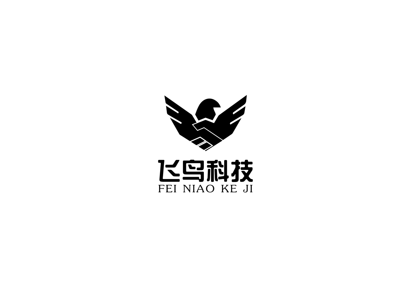 海南飞鸟科技公司logo设计图2