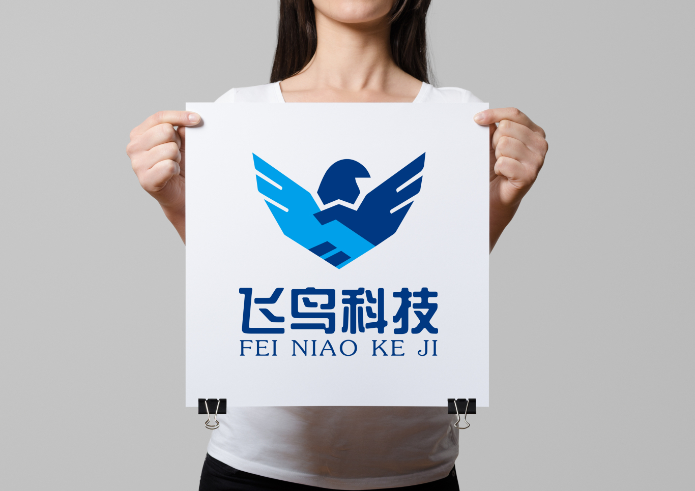 海南飞鸟科技公司logo设计图6