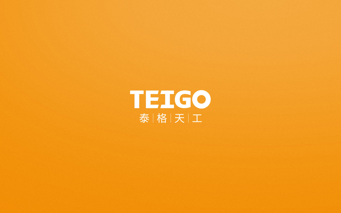 泰格天工品牌logo设计图2
