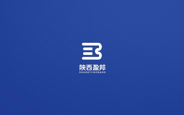 陕西盈邦信息科技有限公司品牌logo设计